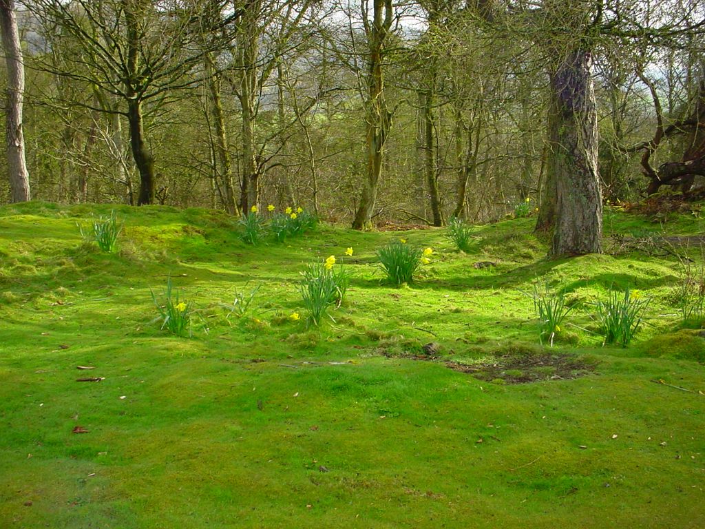 Wallace monument (19)